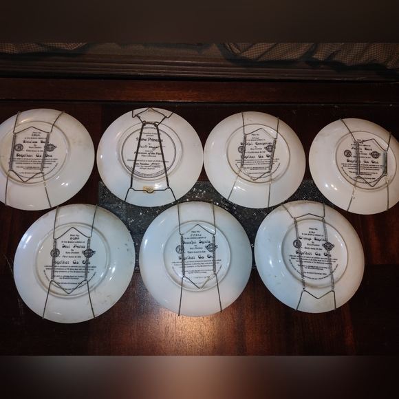 Bradford Exchange "Together As One" Collectable Plate. Priced separately. - Picture 3 of 4